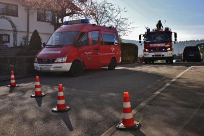 Rudersberg-Steinenberg: Waschbaer haengt in Blitzableiter fest - Einsatz fuer die Feuerwehr 